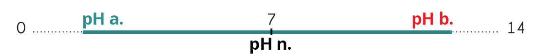 ph-metre2.jpg