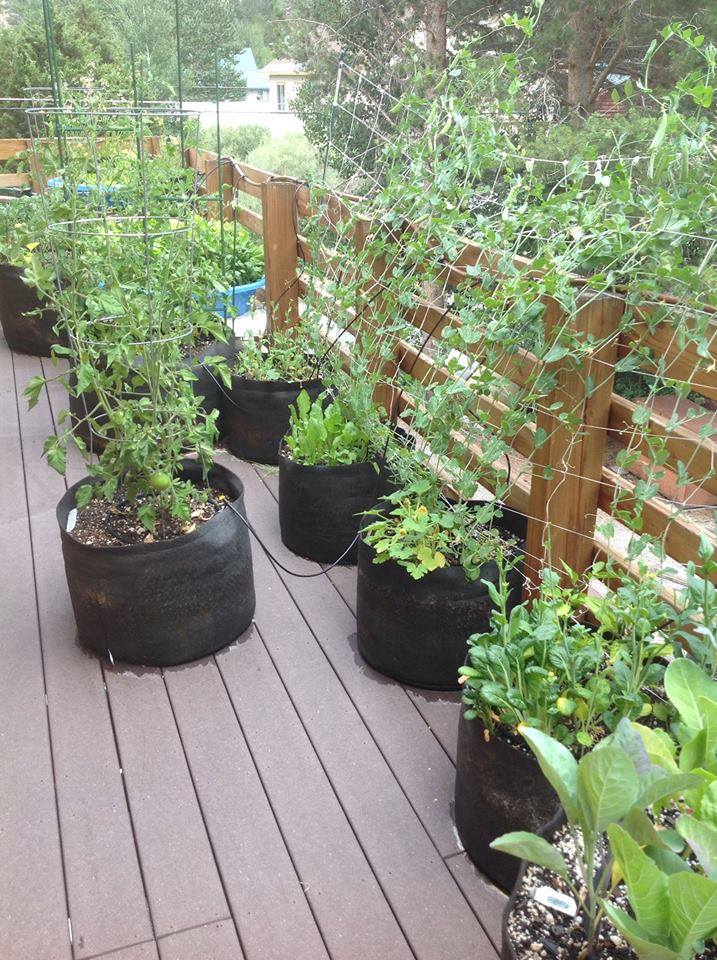 smart-pot2.jpg