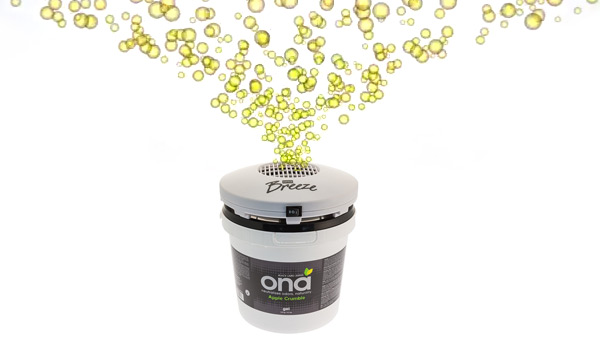 Ona-2.jpg