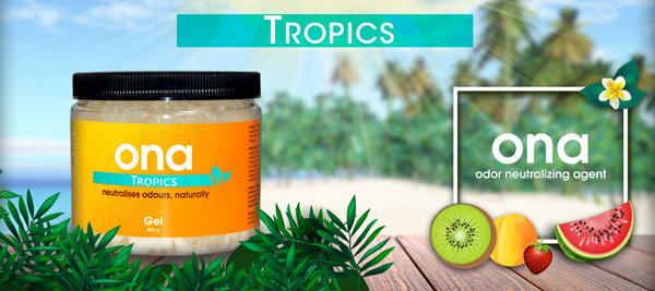 Ona-tropics.jpg