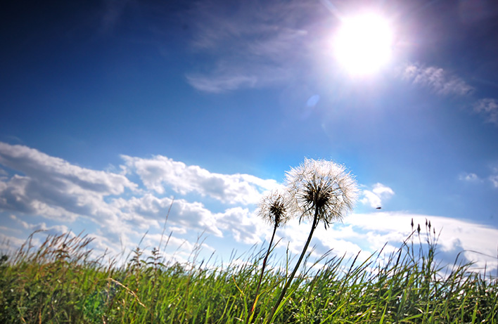 climat