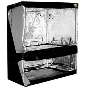 dual-2.jpg