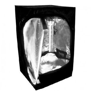 propagator-1.jpg