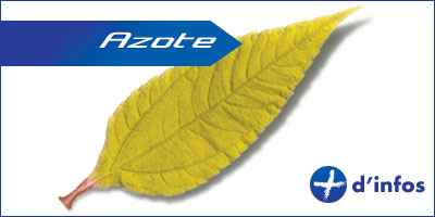azote