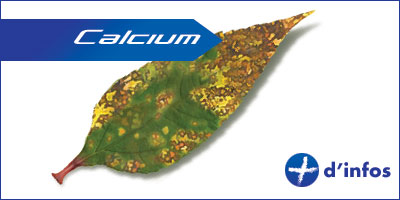 calcium