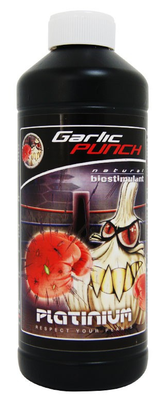 garlic punch