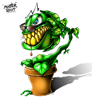 Monster-Plant