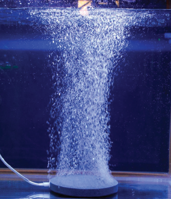 aquaponie2.PNG