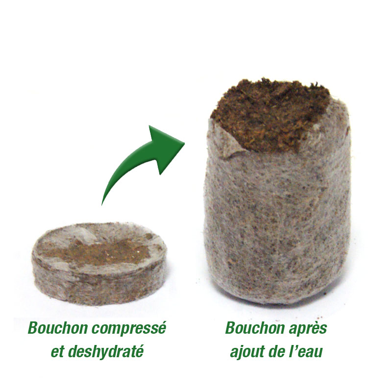 coco pellet