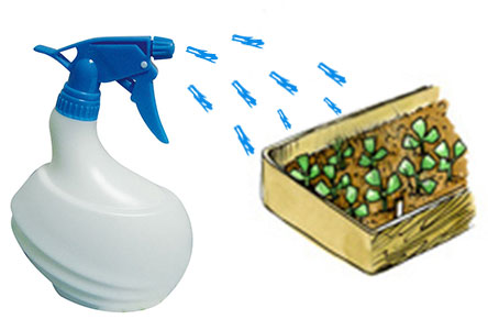 pulverisation