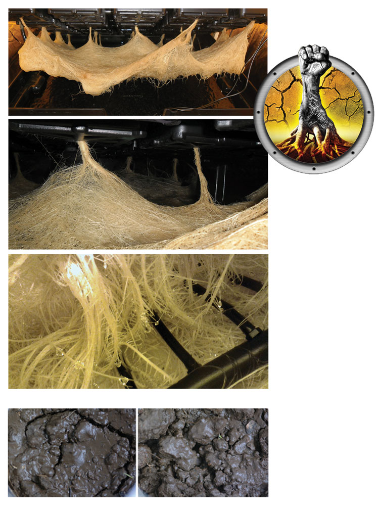 humic fulvic