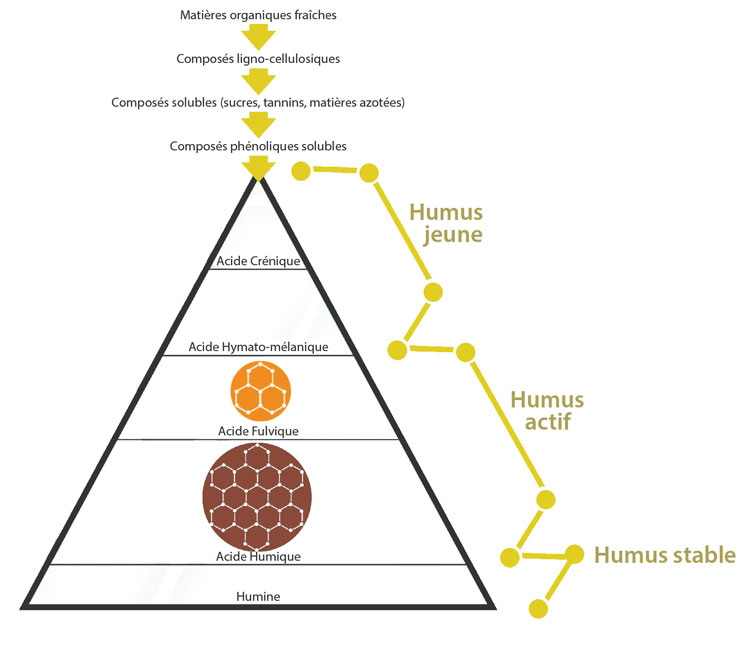humic fulvic