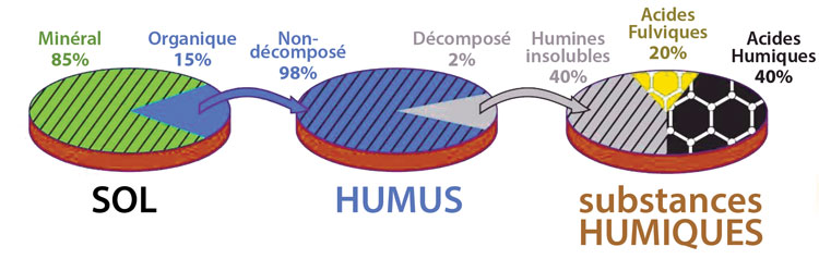 humus