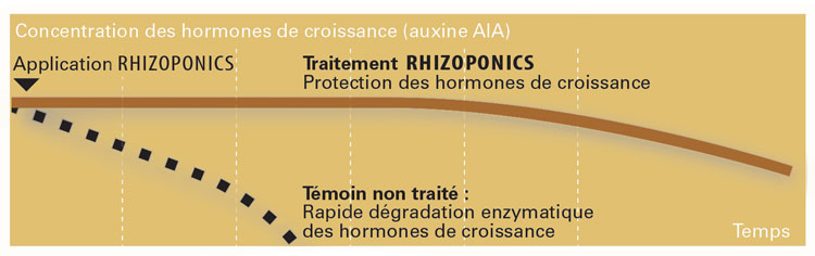 L'action du Rhizoponics
