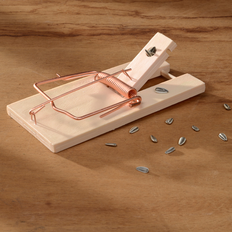 tapette souris