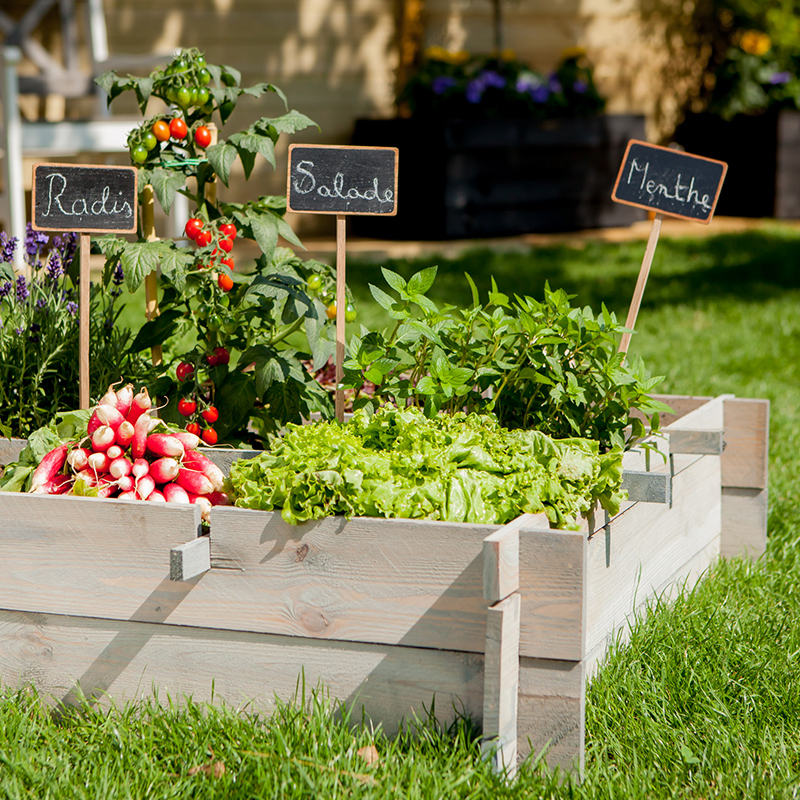 potager samos
