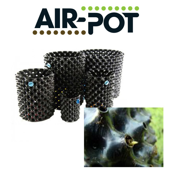 air pot