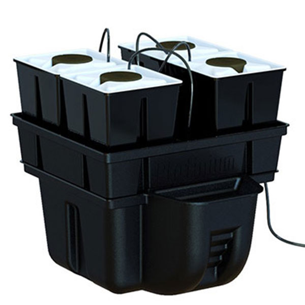 platinium hydroponics