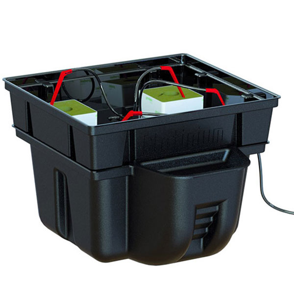 platinium hydroponics