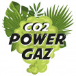 Co2 Power Gaz