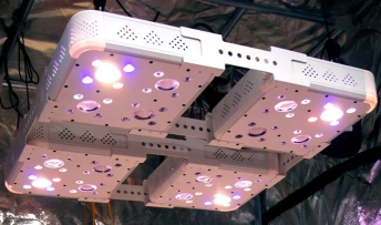indoor led