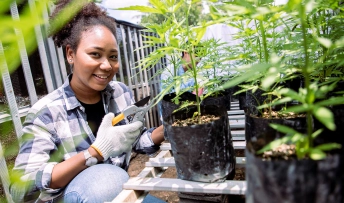 cours de culture de cannabis legal