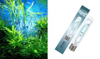 lampe pour aquarium