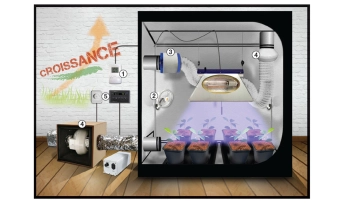 croissance des plantes en chambre de culture