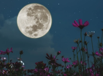 moon calendar