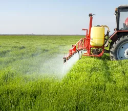 Consigli su acqua e fertilizzanti