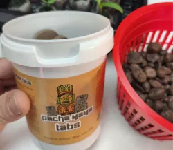 Consigli Paschamama Tabs