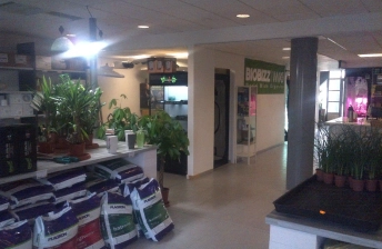 Magasin Culture indoor