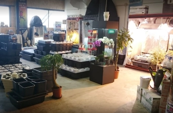 materiel hydroponique dans un Magasin Culture indoor