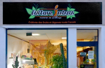 devanture magasin culture indoor