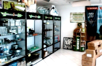 Diverses voitrine dans Magasin Culture indoor