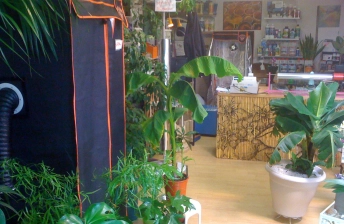 interieur boutique culture indoor